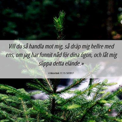 Picture 06 - 4 Mosebok 11:15 SV1917 - Vill du så handla mot mig, så dräp mig hellre - Bible Verse Picture
