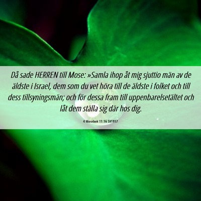 Picture 06 - 4 Mosebok 11:16 SV1917 - Då sade HERREN till Mose: »Samla ihop åt mig - Bible Verse Picture