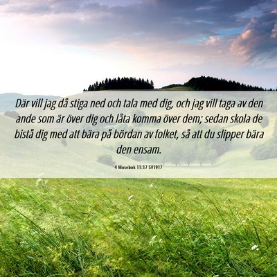 Picture 06 - 4 Mosebok 11:17 SV1917 - Där vill jag då stiga ned och tala med dig, och - Bible Verse Picture