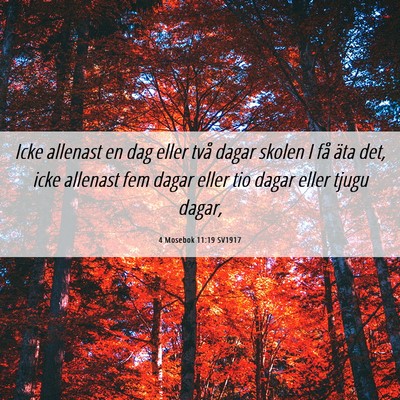 Picture 06 - 4 Mosebok 11:19 SV1917 - Icke allenast en dag eller två dagar skolen I - Bible Verse Picture