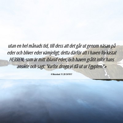 Picture 06 - 4 Mosebok 11:20 SV1917 - utan en hel månads tid, till dess att det går - Bible Verse Picture