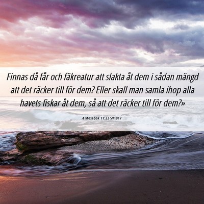 Picture 06 - 4 Mosebok 11:22 SV1917 - Finnas då får och fäkreatur att slakta åt dem - Bible Verse Picture