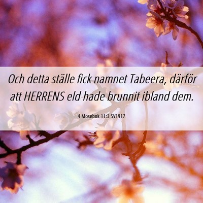 Picture 06 - 4 Mosebok 11:3 SV1917 - Och detta ställe fick namnet Tabeera, därför - Bible Verse Picture