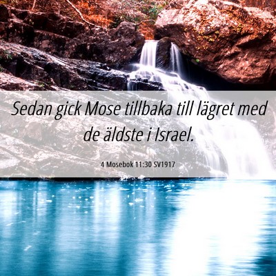 Picture 06 - 4 Mosebok 11:30 SV1917 - Sedan gick Mose tillbaka till lägret med de - Bible Verse Picture
