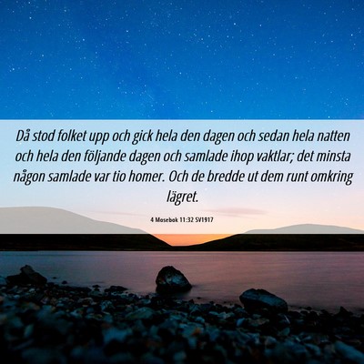 Picture 06 - 4 Mosebok 11:32 SV1917 - Då stod folket upp och gick hela den dagen och - Bible Verse Picture