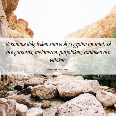Picture 06 - 4 Mosebok 11:5 SV1917 - Vi komma ihåg fisken som vi åt i Egypten för - Bible Verse Picture
