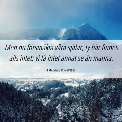 Picture 06 - 4 Mosebok 11:6 SV1917 - Men nu försmäkta våra själar, ty här finnes - Bible Verse Picture