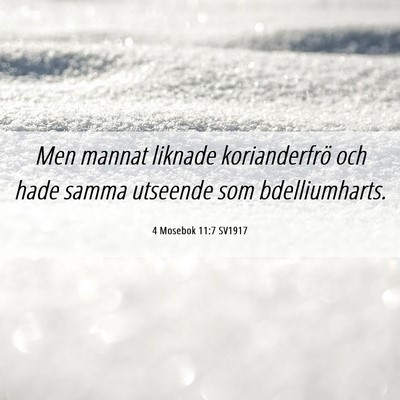 Picture 06 - 4 Mosebok 11:7 SV1917 - Men mannat liknade korianderfrö och hade samma - Bible Verse Picture