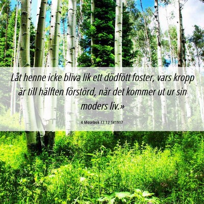 Picture 06 - 4 Mosebok 12:12 SV1917 - Låt henne icke bliva lik ett dödfött foster, - Bible Verse Picture
