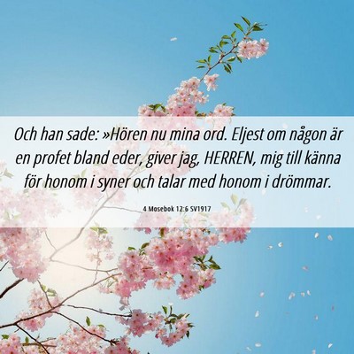 Picture 06 - 4 Mosebok 12:6 SV1917 - Och han sade: »Hören nu mina ord. Eljest om - Bible Verse Picture
