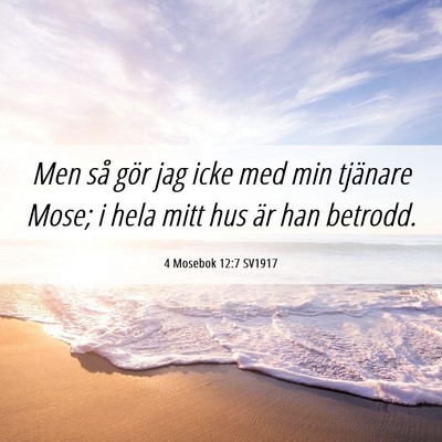 Picture 06 - 4 Mosebok 12:7 SV1917 - Men så gör jag icke med min tjänare Mose; i - Bible Verse Picture