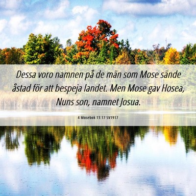 Picture 06 - 4 Mosebok 13:17 SV1917 - Dessa voro namnen på de män som Mose sände - Bible Verse Picture