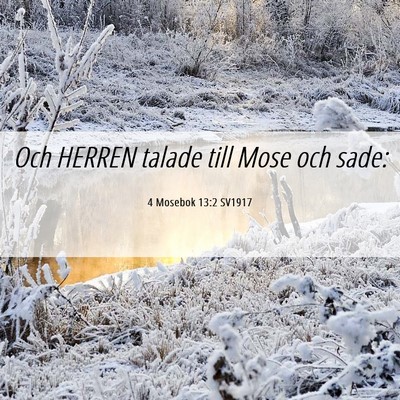 Picture 06 - 4 Mosebok 13:2 SV1917 - Och HERREN talade till Mose och - Bible Verse Picture