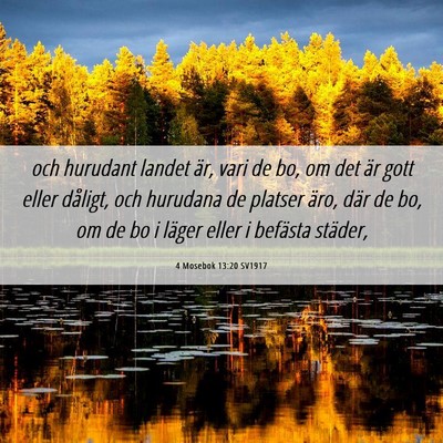 Picture 06 - 4 Mosebok 13:20 SV1917 - och hurudant landet är, vari de bo, om det är - Bible Verse Picture