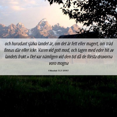 Picture 06 - 4 Mosebok 13:21 SV1917 - och hurudant själva landet är, om det är fett - Bible Verse Picture