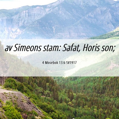 Picture 06 - 4 Mosebok 13:6 SV1917 - av Simeons stam: Safat, Horis - Bible Verse Picture