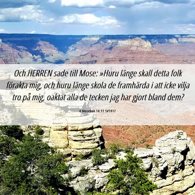 Picture 06 - 4 Mosebok 14:11 SV1917 - Och HERREN sade till Mose: »Huru länge skall - Bible Verse Picture