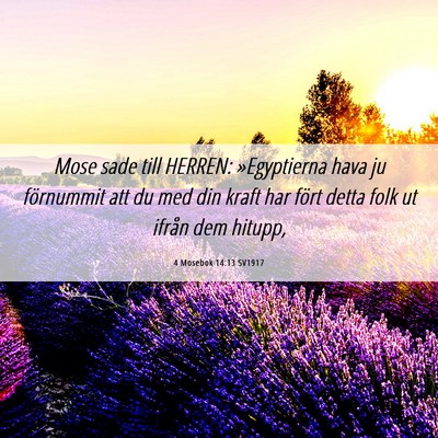 Picture 06 - 4 Mosebok 14:13 SV1917 - Mose sade till HERREN: »Egyptierna hava ju - Bible Verse Picture