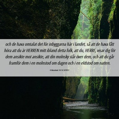 Picture 06 - 4 Mosebok 14:14 SV1917 - och de hava omtalat det för inbyggarna här i - Bible Verse Picture