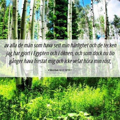 Picture 06 - 4 Mosebok 14:22 SV1917 - av alla de män som hava sett min härlighet och - Bible Verse Picture