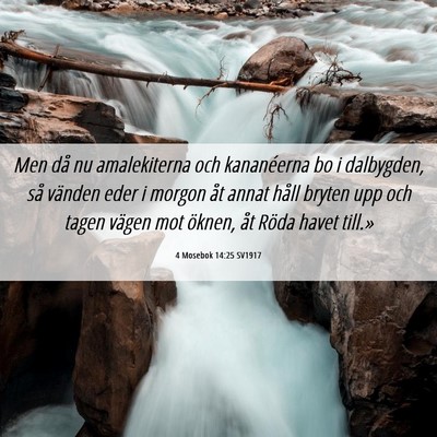 Picture 06 - 4 Mosebok 14:25 SV1917 - Men då nu amalekiterna och kananéerna bo i - Bible Verse Picture
