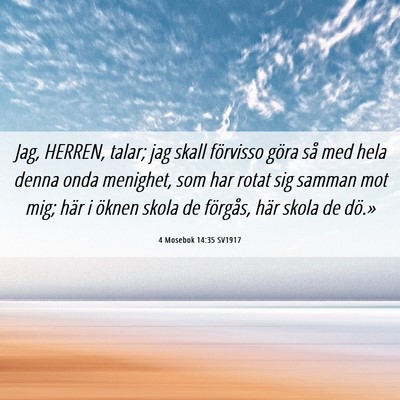 Picture 06 - 4 Mosebok 14:35 SV1917 - Jag, HERREN, talar; jag skall förvisso göra så - Bible Verse Picture