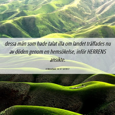 Picture 06 - 4 Mosebok 14:37 SV1917 - dessa män som hade talat illa om landet - Bible Verse Picture
