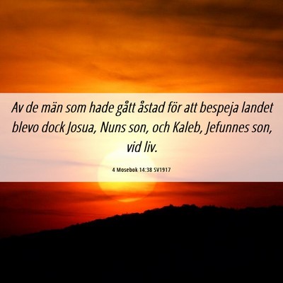 Picture 06 - 4 Mosebok 14:38 SV1917 - Av de män som hade gått åstad för att bespeja - Bible Verse Picture