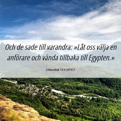 Picture 06 - 4 Mosebok 14:4 SV1917 - Och de sade till varandra: »Låt oss välja en - Bible Verse Picture