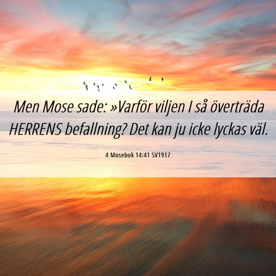 Picture 06 - 4 Mosebok 14:41 SV1917 - Men Mose sade: »Varför viljen I så överträda - Bible Verse Picture