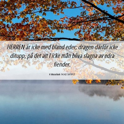 Picture 06 - 4 Mosebok 14:42 SV1917 - HERREN är icke med bland eder; dragen därför - Bible Verse Picture