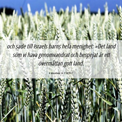 Picture 06 - 4 Mosebok 14:7 SV1917 - och sade till Israels barns hela menighet: »Det - Bible Verse Picture