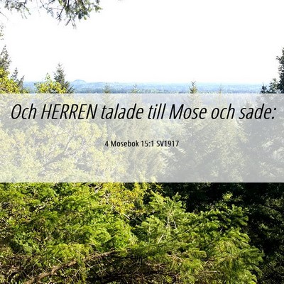 Picture 06 - 4 Mosebok 15:1 SV1917 - Och HERREN talade till Mose och - Bible Verse Picture
