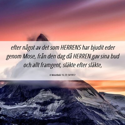 Picture 06 - 4 Mosebok 15:23 SV1917 - efter något av det som HERRENS har bjudit eder - Bible Verse Picture