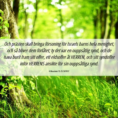 Picture 06 - 4 Mosebok 15:25 SV1917 - Och prästen skall bringa försoning för Israels - Bible Verse Picture