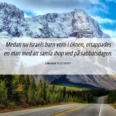 Picture 06 - 4 Mosebok 15:32 SV1917 - Medan nu Israels barn voro i öknen, ertappades - Bible Verse Picture