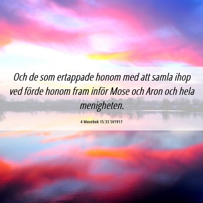 Picture 06 - 4 Mosebok 15:33 SV1917 - Och de som ertappade honom med att samla ihop ved - Bible Verse Picture