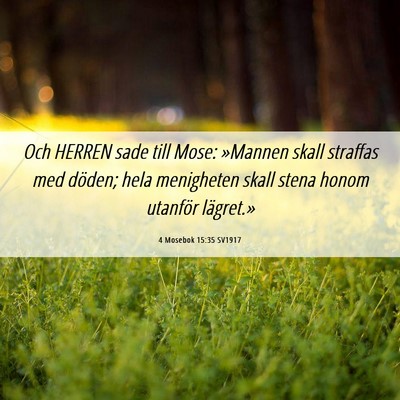 Picture 06 - 4 Mosebok 15:35 SV1917 - Och HERREN sade till Mose: »Mannen skall - Bible Verse Picture