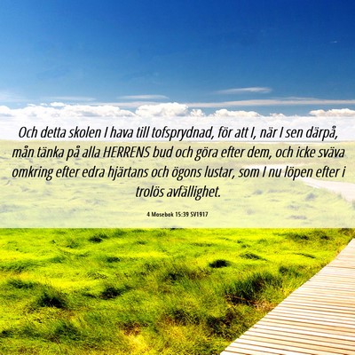 Picture 06 - 4 Mosebok 15:39 SV1917 - Och detta skolen I hava till tofsprydnad, för - Bible Verse Picture