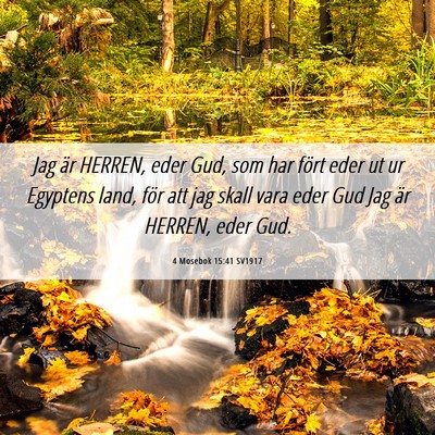 Picture 06 - 4 Mosebok 15:41 SV1917 - Jag är HERREN, eder Gud, som har fört eder ut - Bible Verse Picture