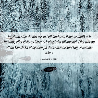 Picture 06 - 4 Mosebok 16:14 SV1917 - Ingalunda har du fört oss in i ett land som - Bible Verse Picture