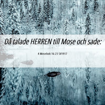 Picture 06 - 4 Mosebok 16:23 SV1917 - Då talade HERREN till Mose och - Bible Verse Picture