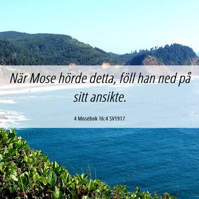 Picture 06 - 4 Mosebok 16:4 SV1917 - När Mose hörde detta, föll han ned på sitt - Bible Verse Picture