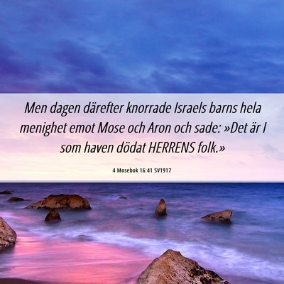 Picture 06 - 4 Mosebok 16:41 SV1917 - Men dagen därefter knorrade Israels barns hela - Bible Verse Picture