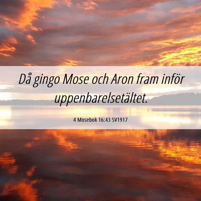 Picture 06 - 4 Mosebok 16:43 SV1917 - Då gingo Mose och Aron fram inför - Bible Verse Picture
