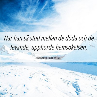 Picture 06 - 4 Mosebok 16:48 SV1917 - När han så stod mellan de döda och de levande, - Bible Verse Picture