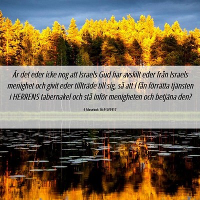 Picture 06 - 4 Mosebok 16:9 SV1917 - Är det eder icke nog att Israels Gud har avskilt - Bible Verse Picture