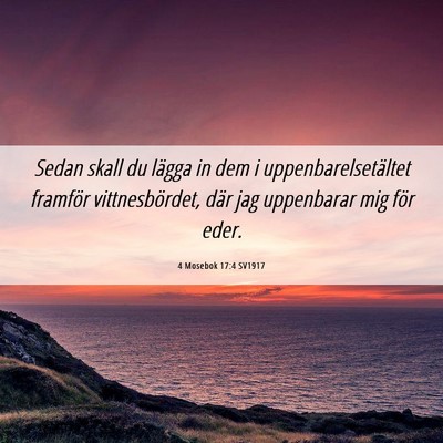 Picture 06 - 4 Mosebok 17:4 SV1917 - Sedan skall du lägga in dem i - Bible Verse Picture