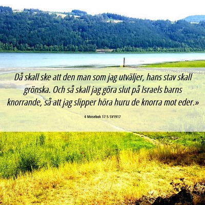 Picture 06 - 4 Mosebok 17:5 SV1917 - Då skall ske att den man som jag utväljer, hans - Bible Verse Picture