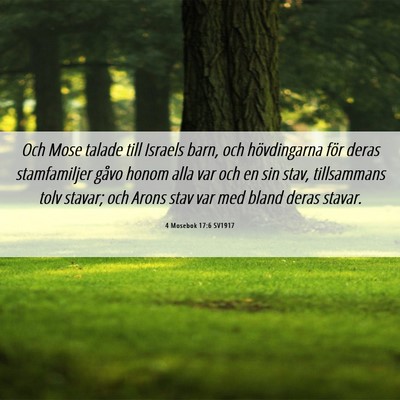 Picture 06 - 4 Mosebok 17:6 SV1917 - Och Mose talade till Israels barn, och - Bible Verse Picture